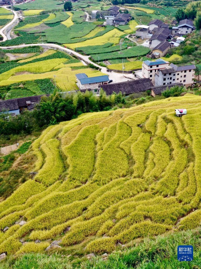 宝博斗地主官网